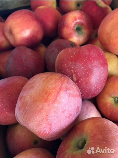 Яблоки флорина, айдаред