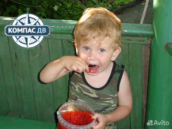 Красная икра кижуча 2024