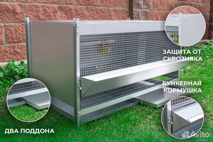 Брудер для цыплят