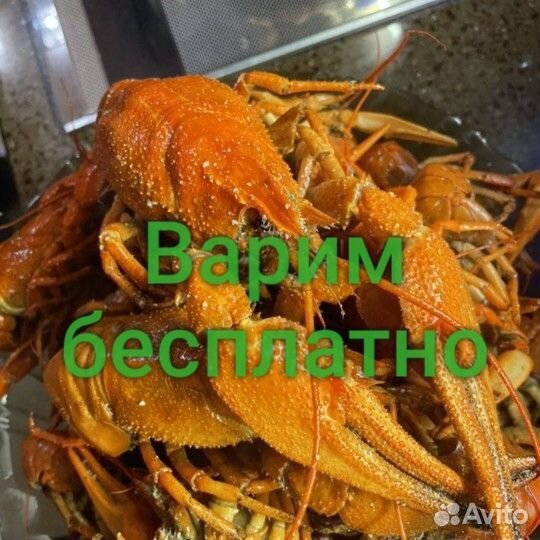 Раки