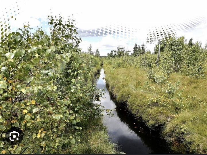 Участок 6 сот. (ИЖС)