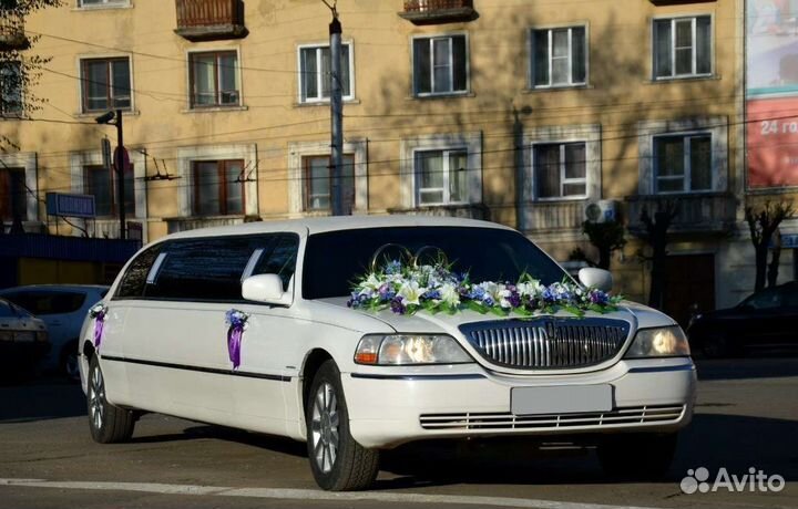 Седаны, джипы, автобусы, лимузины