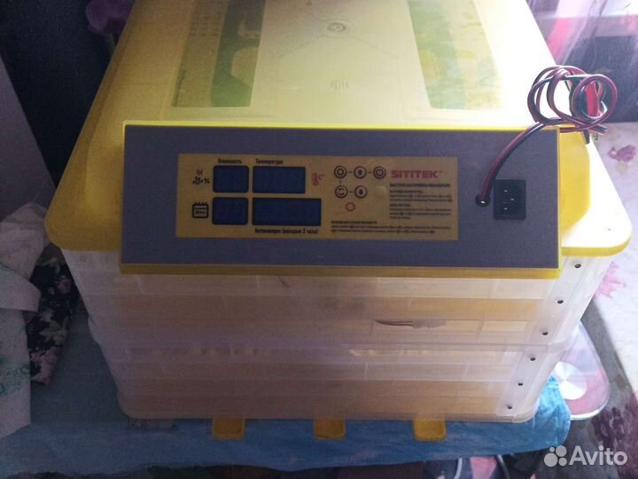 Инкубатор для яиц автоматический бу