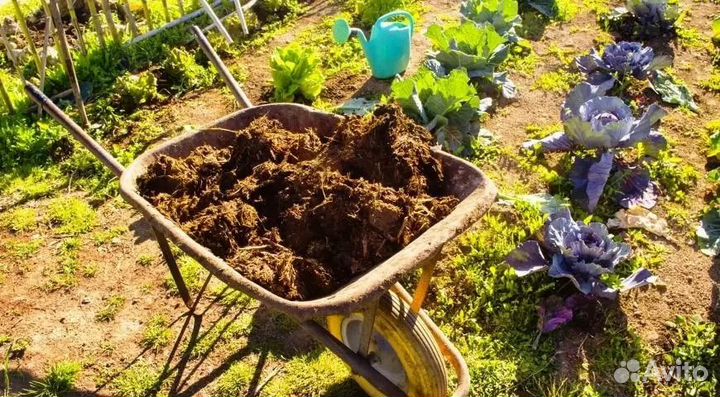 Перегной навоз конский