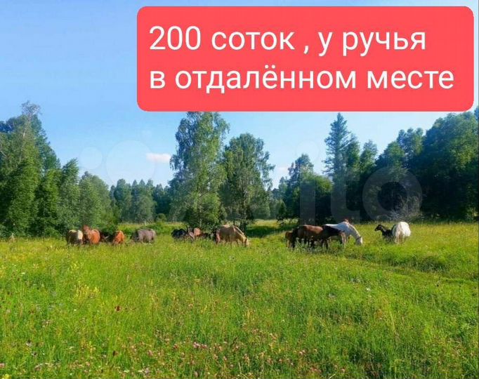 Участок 2 га (СНТ, ДНП)