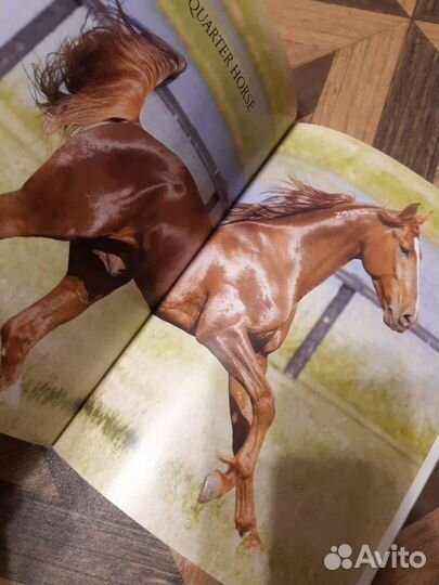 Книга про лошадей, на немецком языке