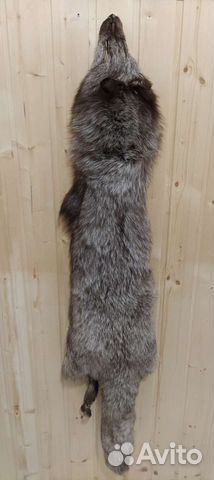 Шкура песца