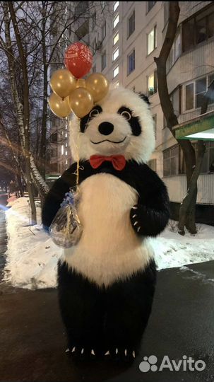 Панда Бруно от 2000