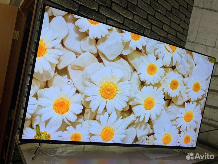 Oled 55 - случайно выбрать себе такое невозможно