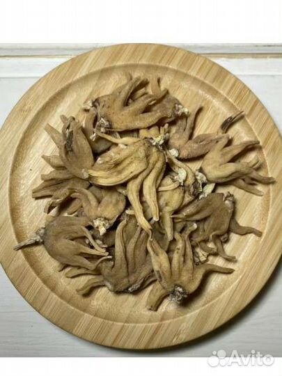 Ятрышник (мужской)