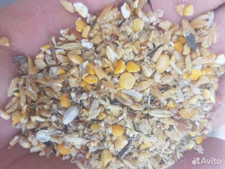 Кормосмесь