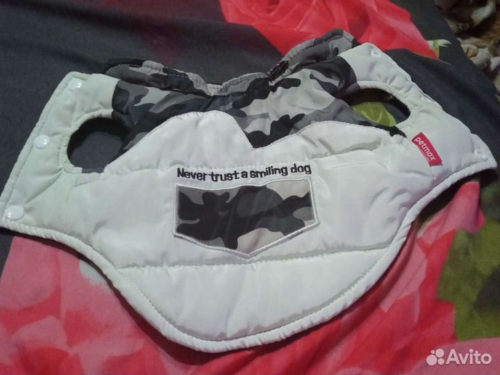 Костюм Чихуахуа/мини той терьер