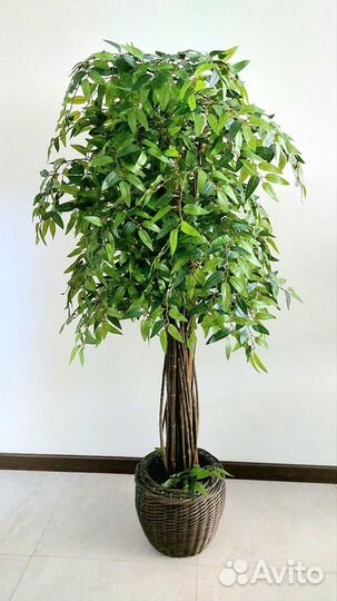 Искусственное дерево растение шеффлера фикус