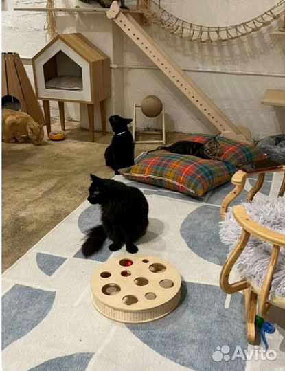 Ищу инвестора или партнёра