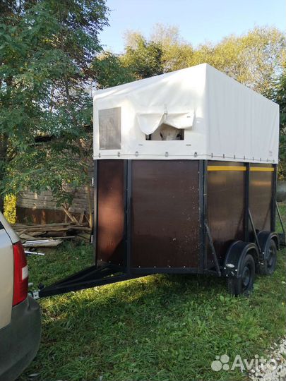 Коневоз Перевозка животных и спорт инвентаря