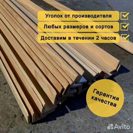 Уголок гладкий сосна