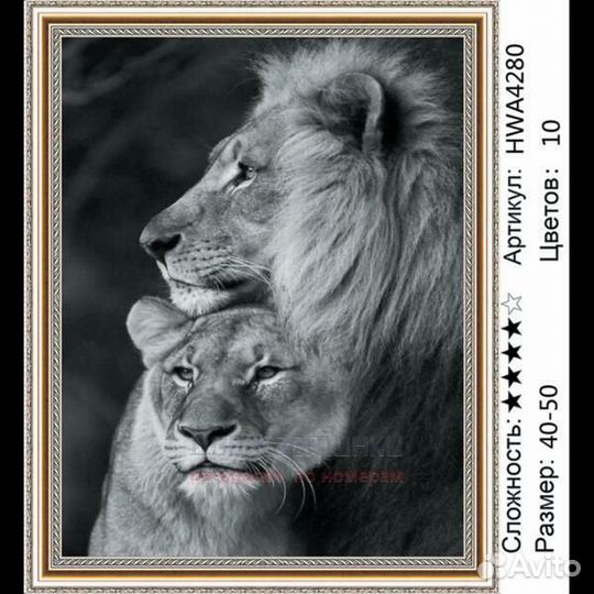 Алмазная мозаика 40x50 Семейная пара львов