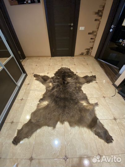 Шкура медаедя имитация