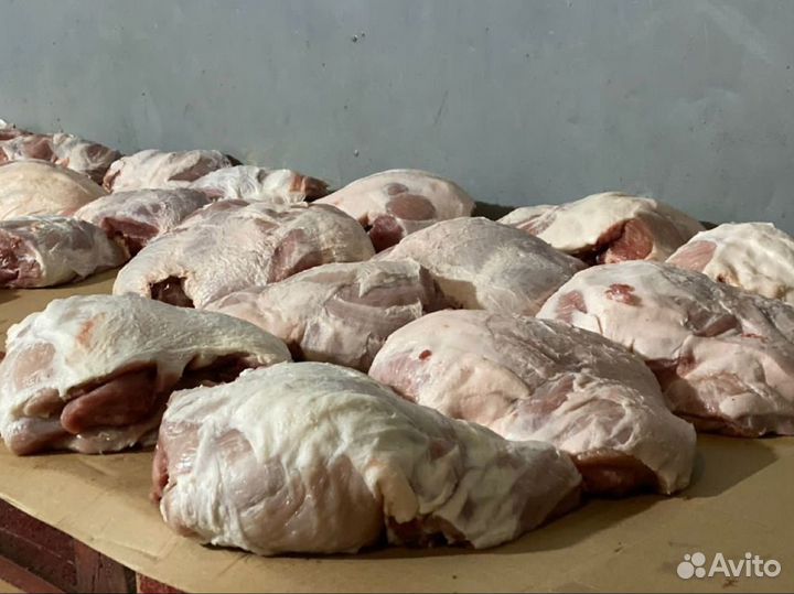 Мясо свинина