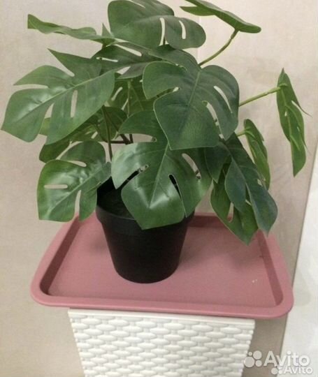 Искусственный цветок IKEA Fejka (Монстера)