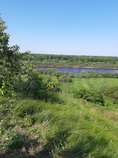 Дом 50 м² на участке 12 сот.