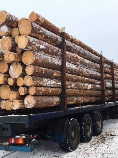 Лес кругляк строевой