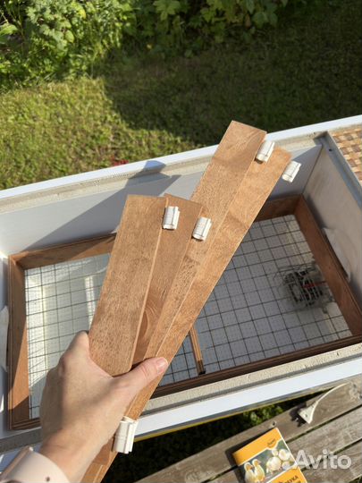 Инкубатор для яиц автоматический норма луппер