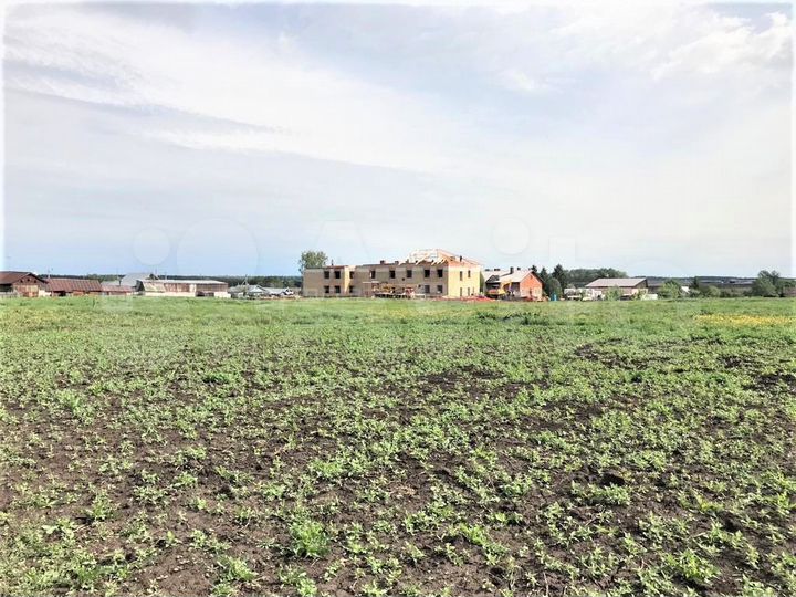 Участок 18,8 сот. (ИЖС)