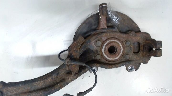 Ступица (кулак, цапфа) Nissan Pathfinder, 2011