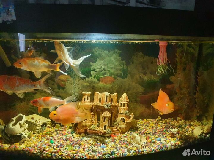 Украшение для аквариума
