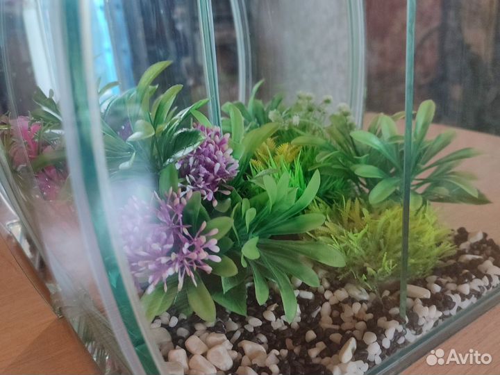 Аквариум 7 литров с перегородкой