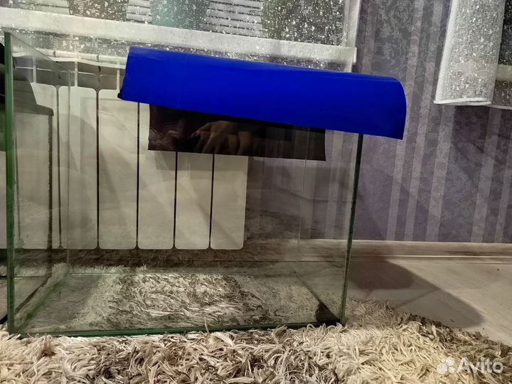 Аквариум, грунт