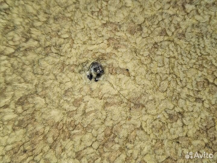 Ковёр Merinos 147см на 390см