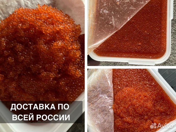 Красная икра Нерка, Кета, Горбуша, Кижуч