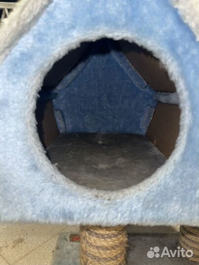 Домик для кошки с антицарапкой