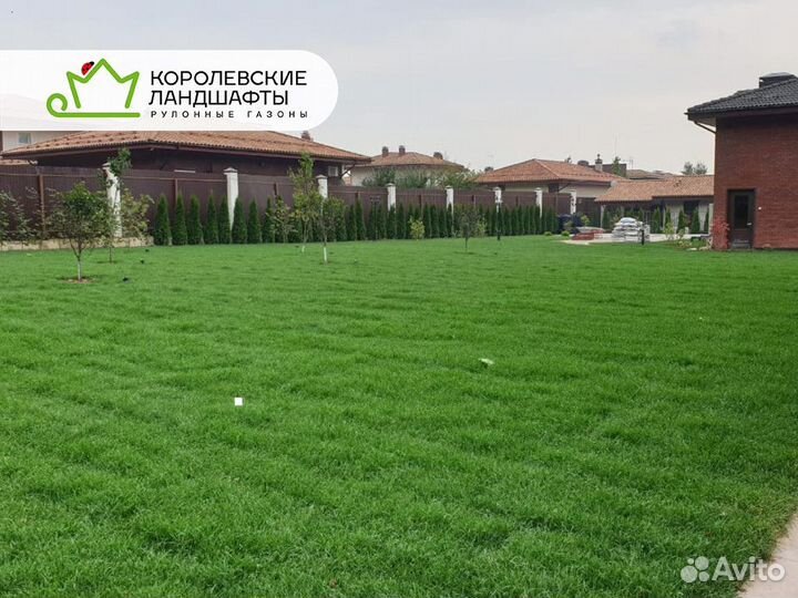Рулонный газон