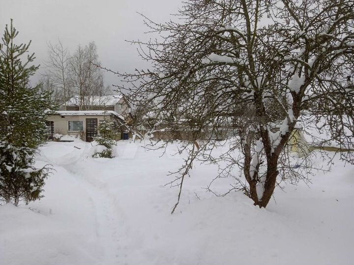 Дом 54 м² на участке 10,5 сот.