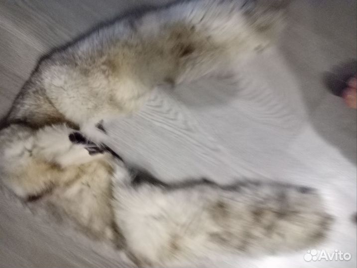 Воротник из песца