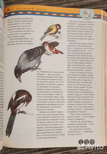 Почемучка Детское справочное бюро