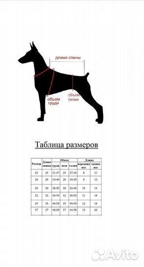 Комбинезон для маленькой собаки зима