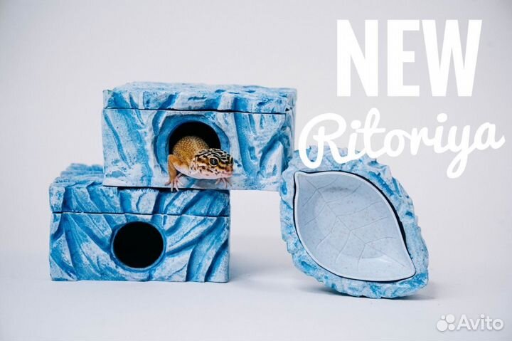 Влажная камера, укрытие и поилка для рептилий