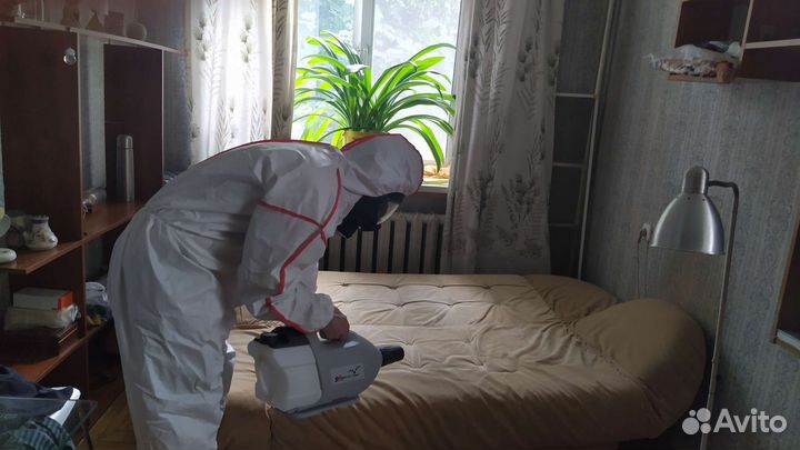 Уничтожение тараканов клопов блох Дезинфекция