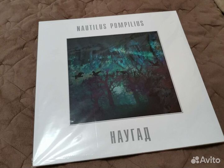 Наутилус помпилиус 