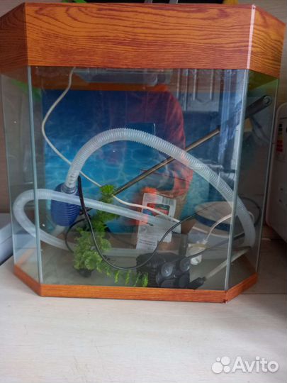 Аквариум