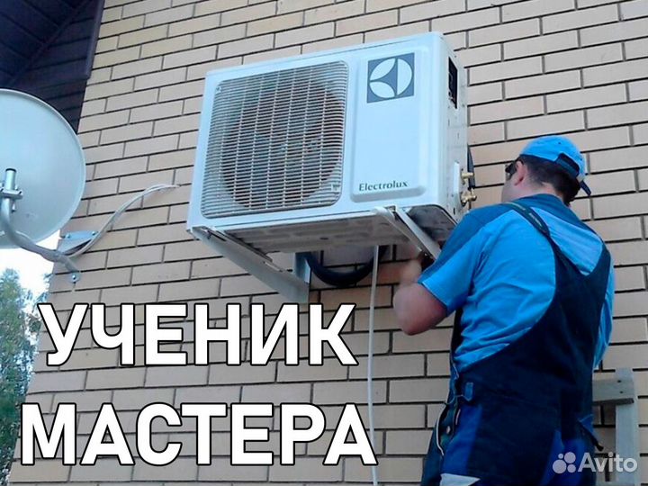 Ученик мастера (ежедневные выплаты)