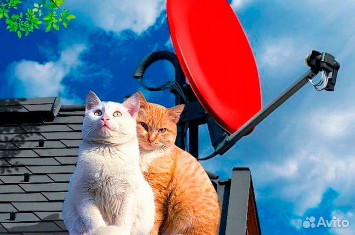 Спутниковое тв, триколор, НТВ+, МТС