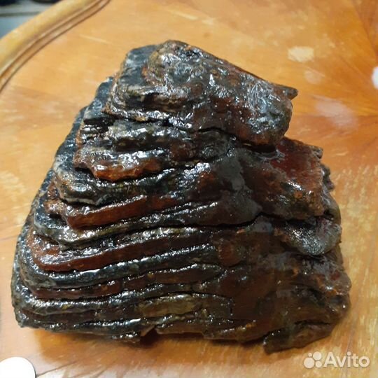 Зуб мамонта