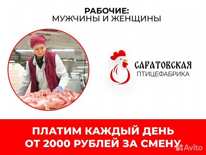 Сортировщики Куринных Закусок Оплата После Смены