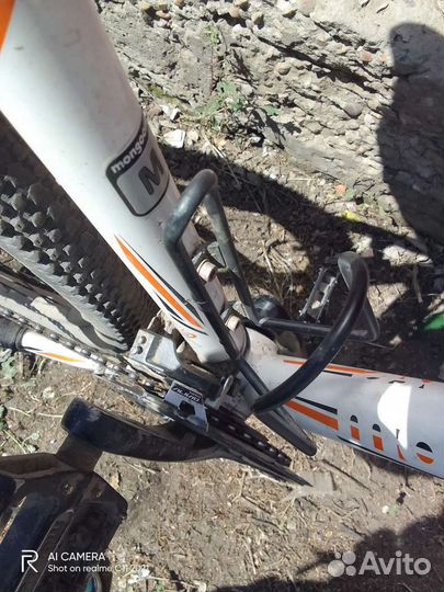 Mongoose tyax expert