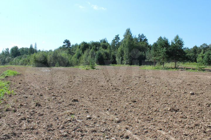 Участок 50 сот. (ИЖС)